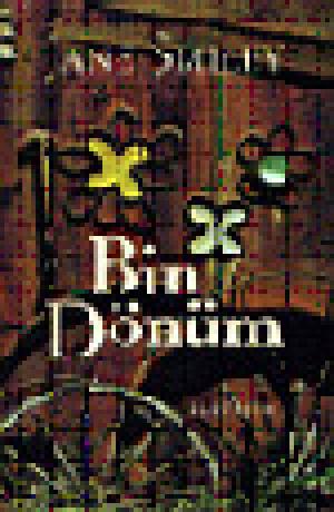 Bin Dönüm