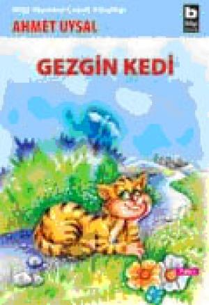 Gezgin Kedi